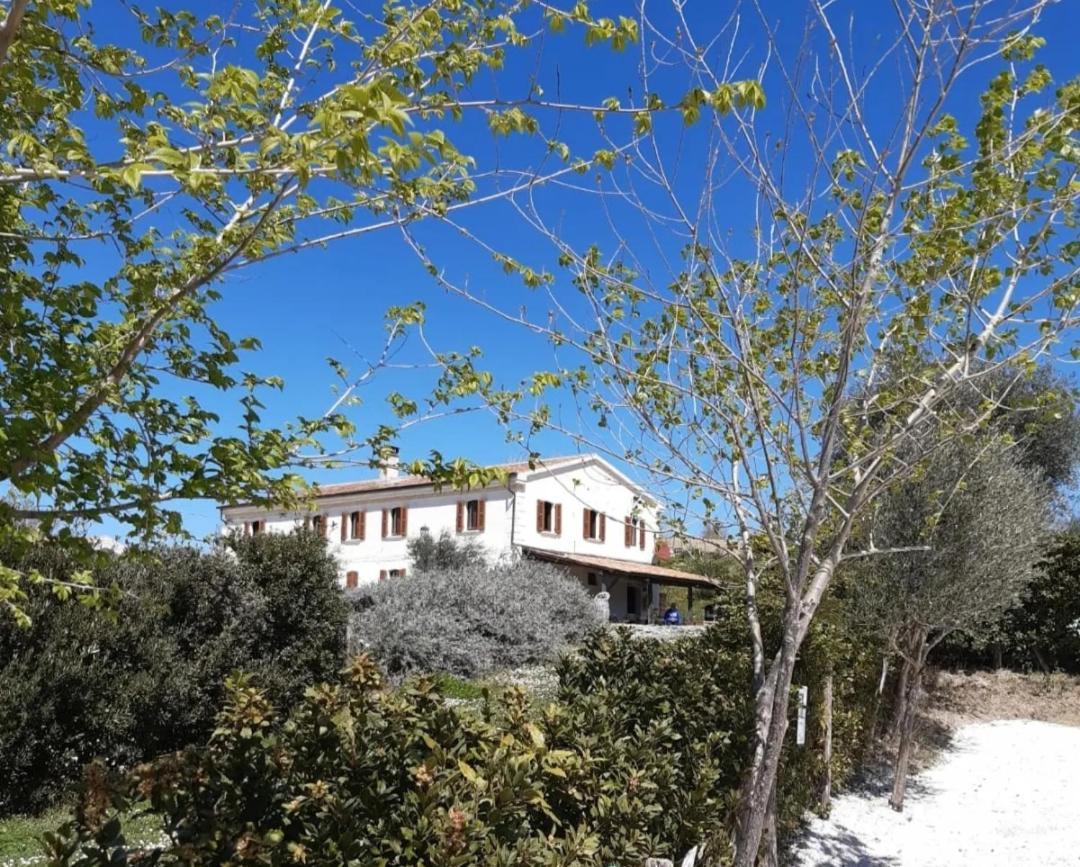 Castelleone di Suasa Rustico Del Bozzo旅馆 外观 照片