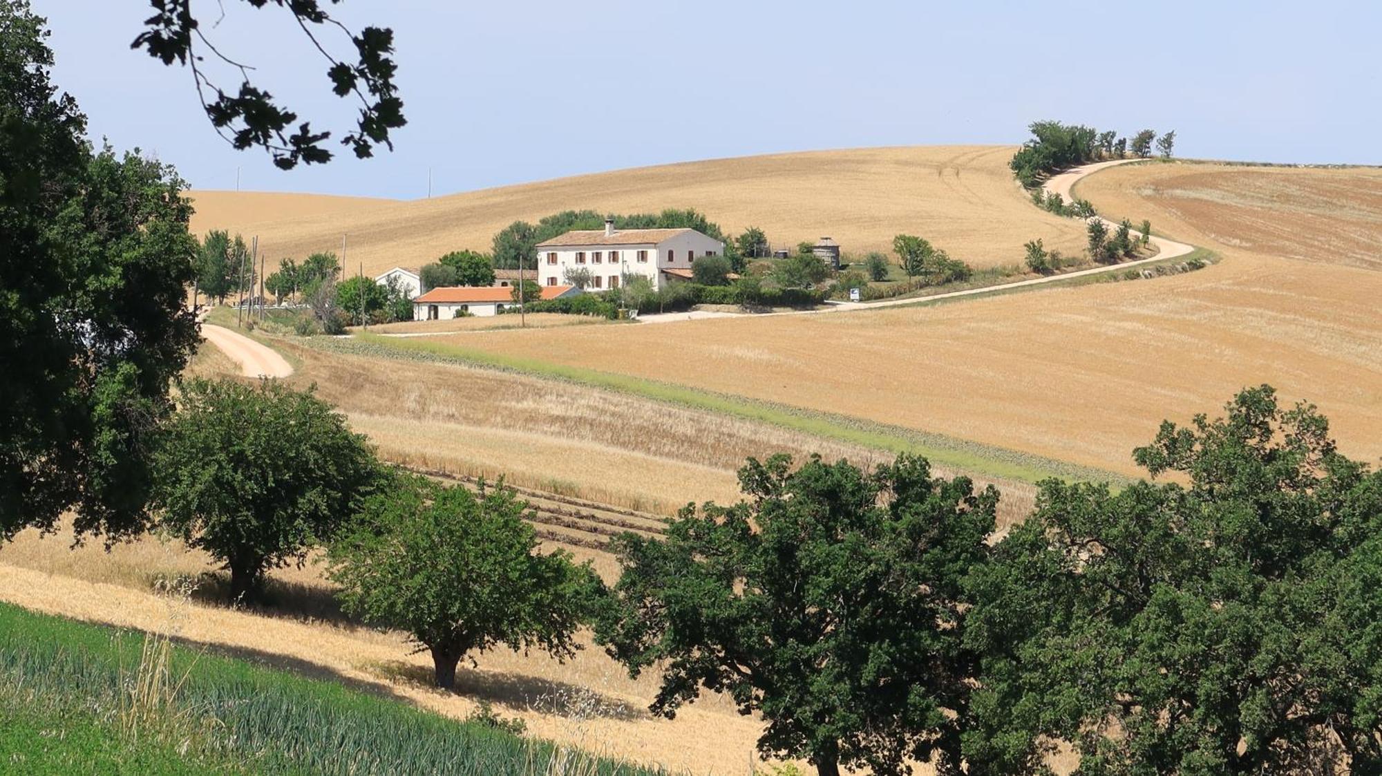 Castelleone di Suasa Rustico Del Bozzo旅馆 外观 照片