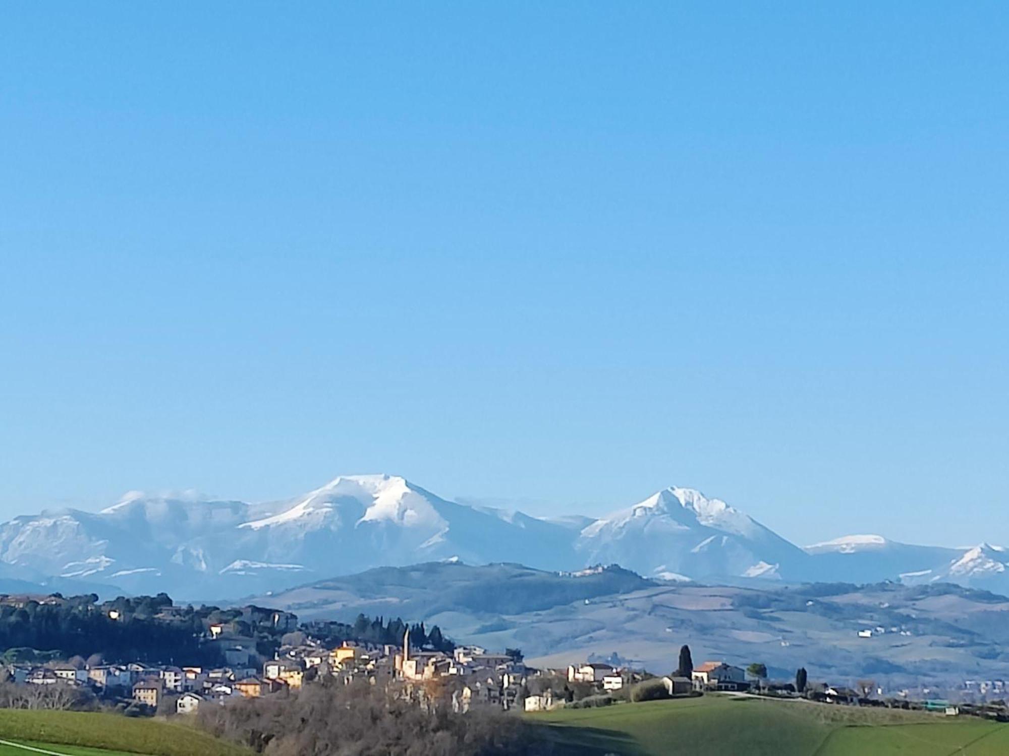 Castelleone di Suasa Rustico Del Bozzo旅馆 外观 照片